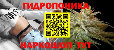 шишки Михайловск