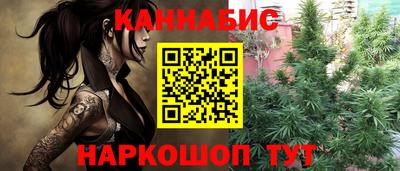 шишки Михайловск